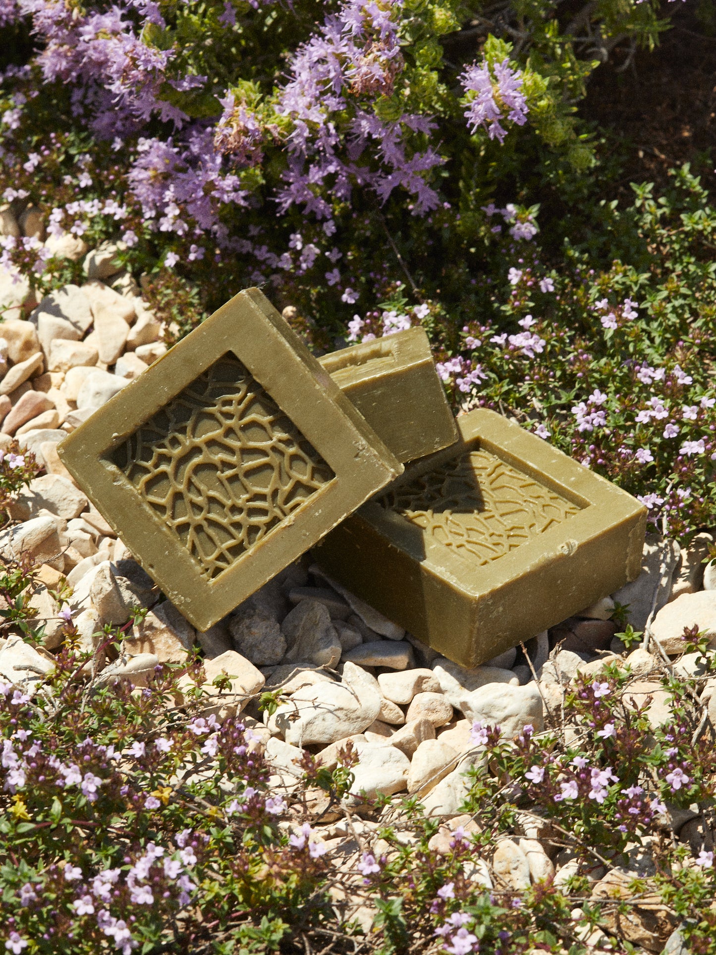 Savon de Marseille Mucem 100g